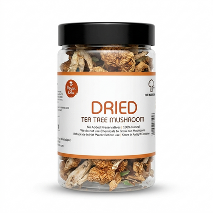 Mushroom | Tea Tree Mushroom (Dried Mushroom) -Vegan, Keto- 100% Natural - Chemical Free &amp; No Added Preservatives The Mushoom Hub - 50gm