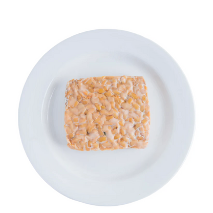 Tempeh | Made From 100% Organic Beans - 50gm Protein Per Pack - Fermented Superfood - Natural - Vegan &amp; Gut Friendly - Health On Plants - 175gm