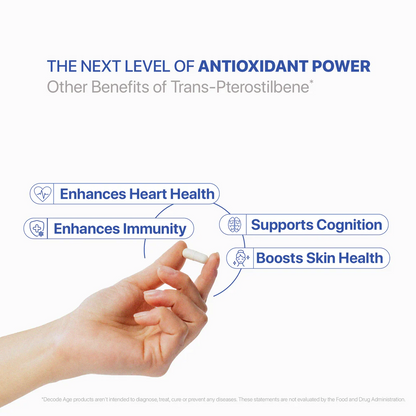 Trans Pterostilbene | Sirtuin Activator - Potent Antioxidant, Supports Healthy Ageing &amp; Immunity - Vegan &amp; GMO Free – Decode Age – 60 Capsules
