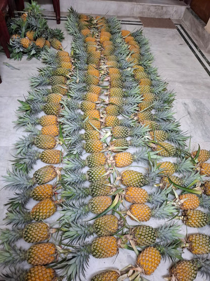 Pineapple | Tripura Kew Pineapples - Organically Grown Sweet Juicy Pineapple -Certified organic- Per Piece