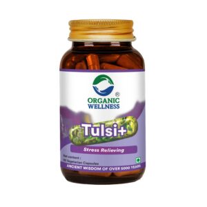 Tulsi + (Stress Relieving) -Cough and Cold Relief, Stress Resilience -No Artificial Additives- Organic Wellness - 90 Vegetarian Capsules