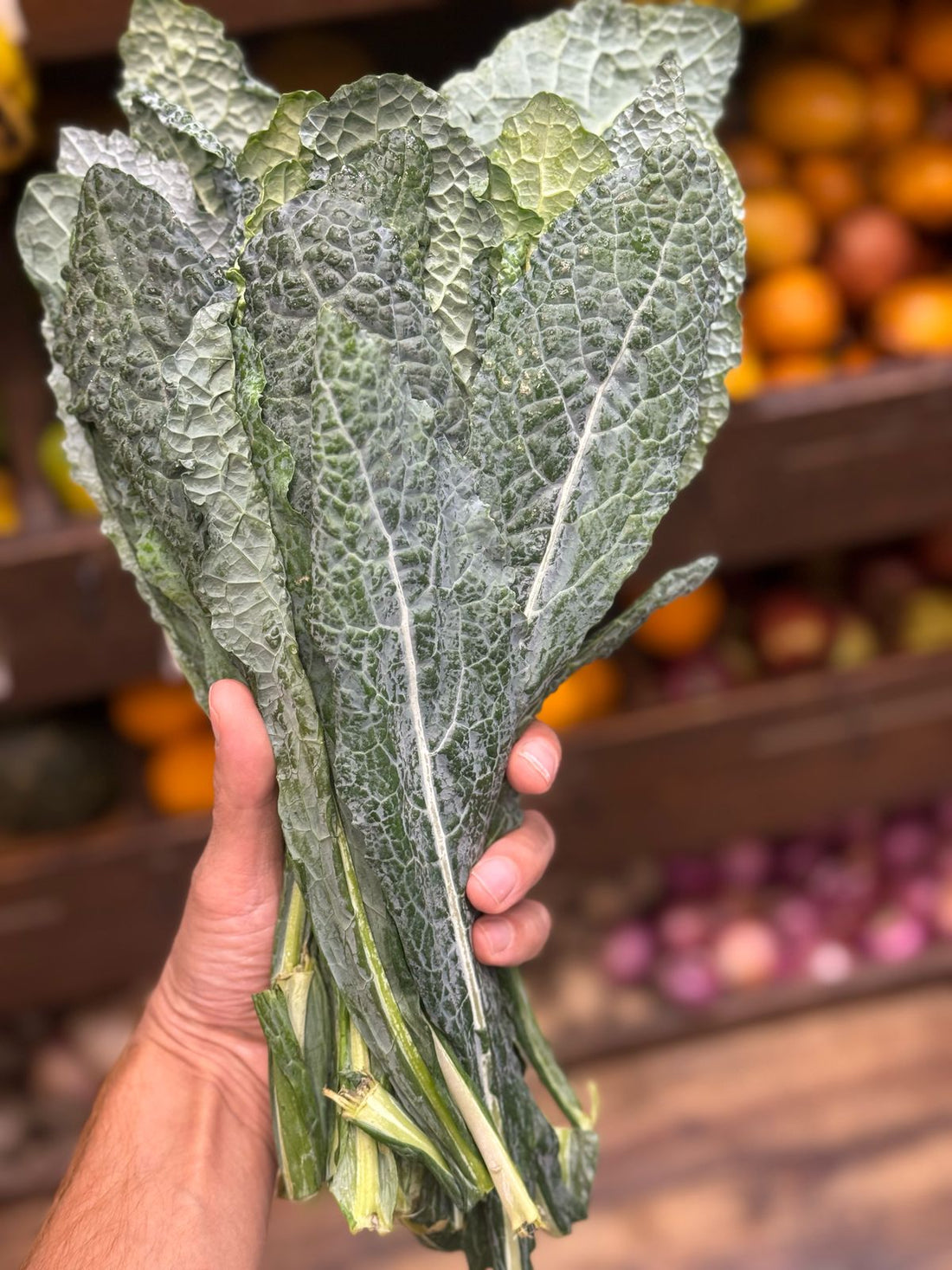 Kale | Tuscan Kale - 200gm packet