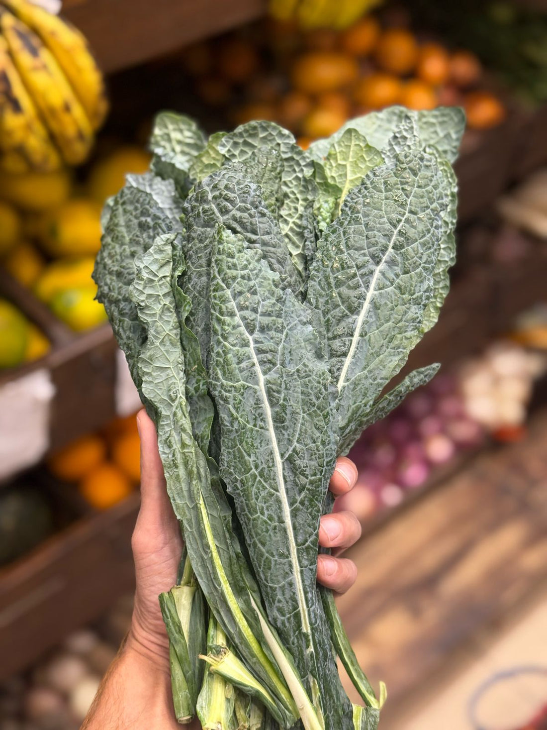 Kale | Tuscan Kale - 200gm packet