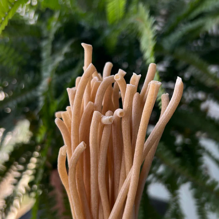 Pasta | Bucatini Pasta - Whole Wheat and Semolina – Donna Pastaia – 250gm