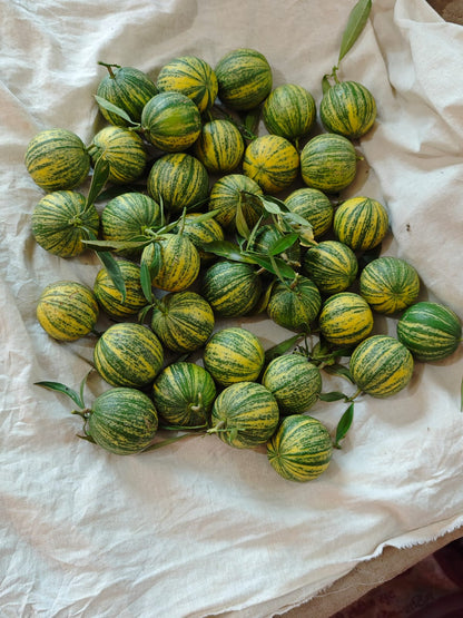 Lemon | Verigated lemon ( Saharanpur, Uttar Pradesh) - Fresh Exotic Citrus Fruit - Organically Grown