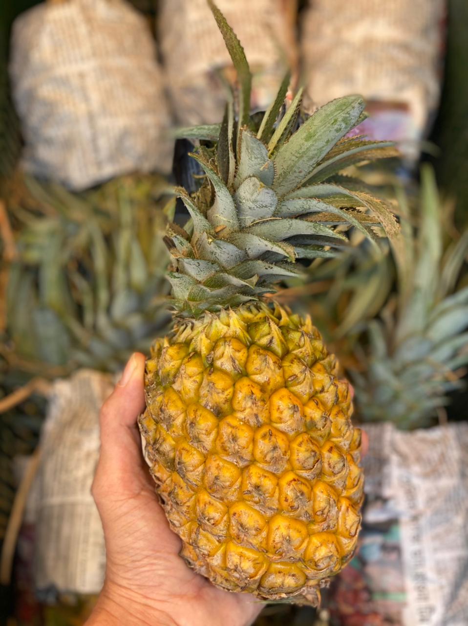 Pineapple | Queen Pineapple (Manipur &amp; Tripura) - Strengthen Bones, Good For Teeth, Aids In Digestion - Organically Grown - Per Piece