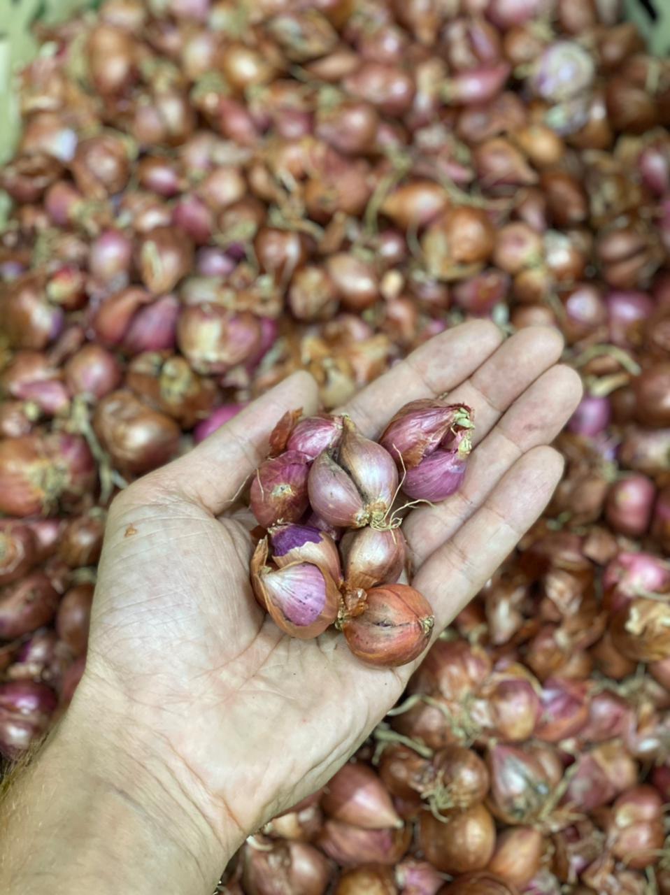 Shallots | Good Source Of Potassium