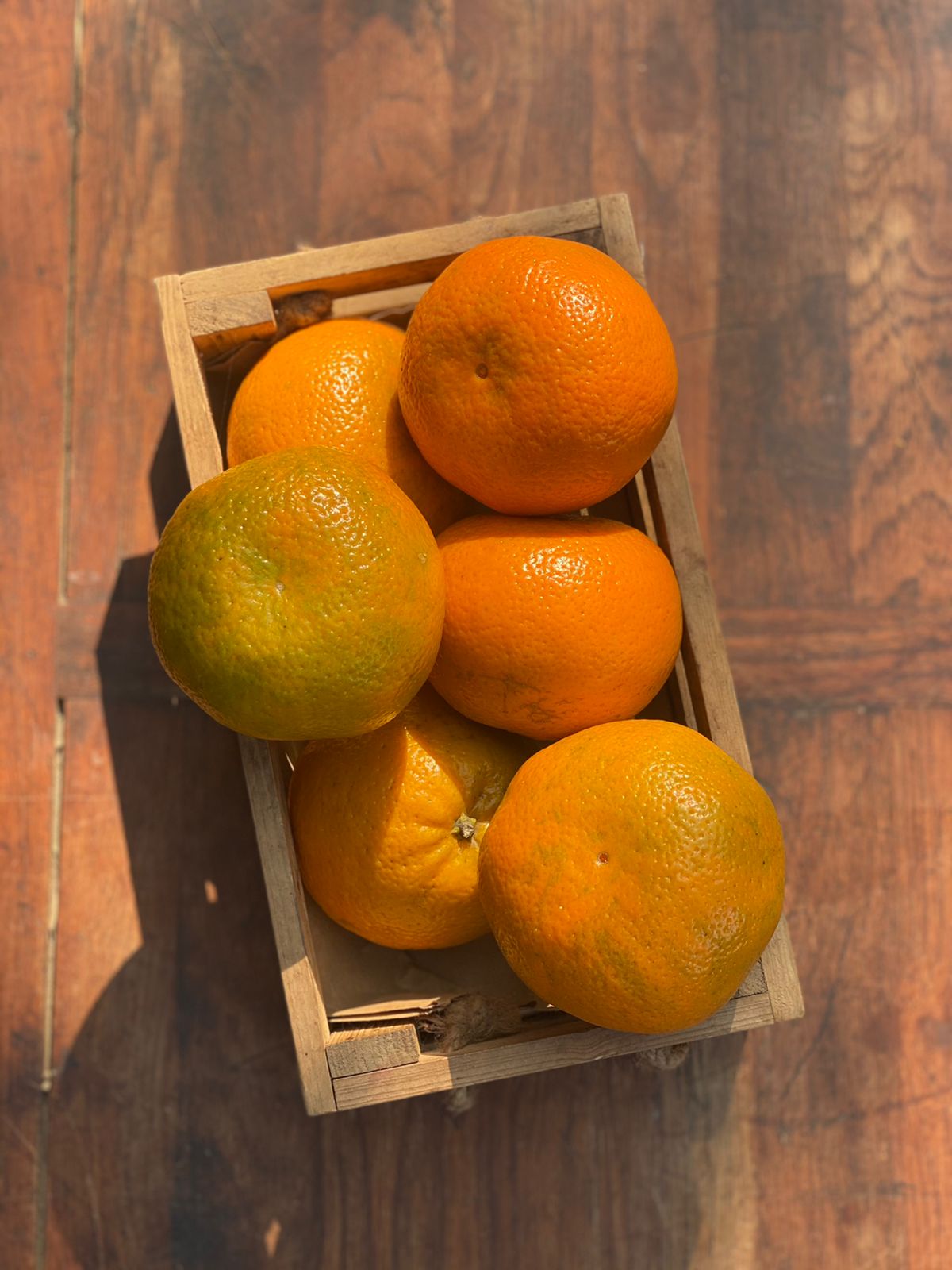 Kinnow (Ganganagar) - Organically Grown