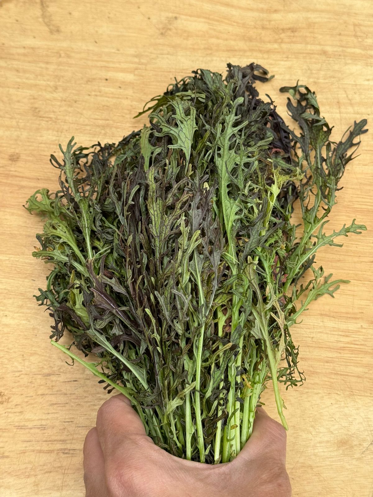 Red Mizuna - Locally Grown - Natural Farming - Rich in vitamins A, C, and K - 200gm