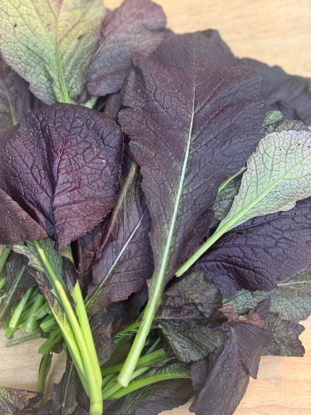 Red Japanese Mustard Leaves - Rich in vitamins A, C and K - Organically Grown