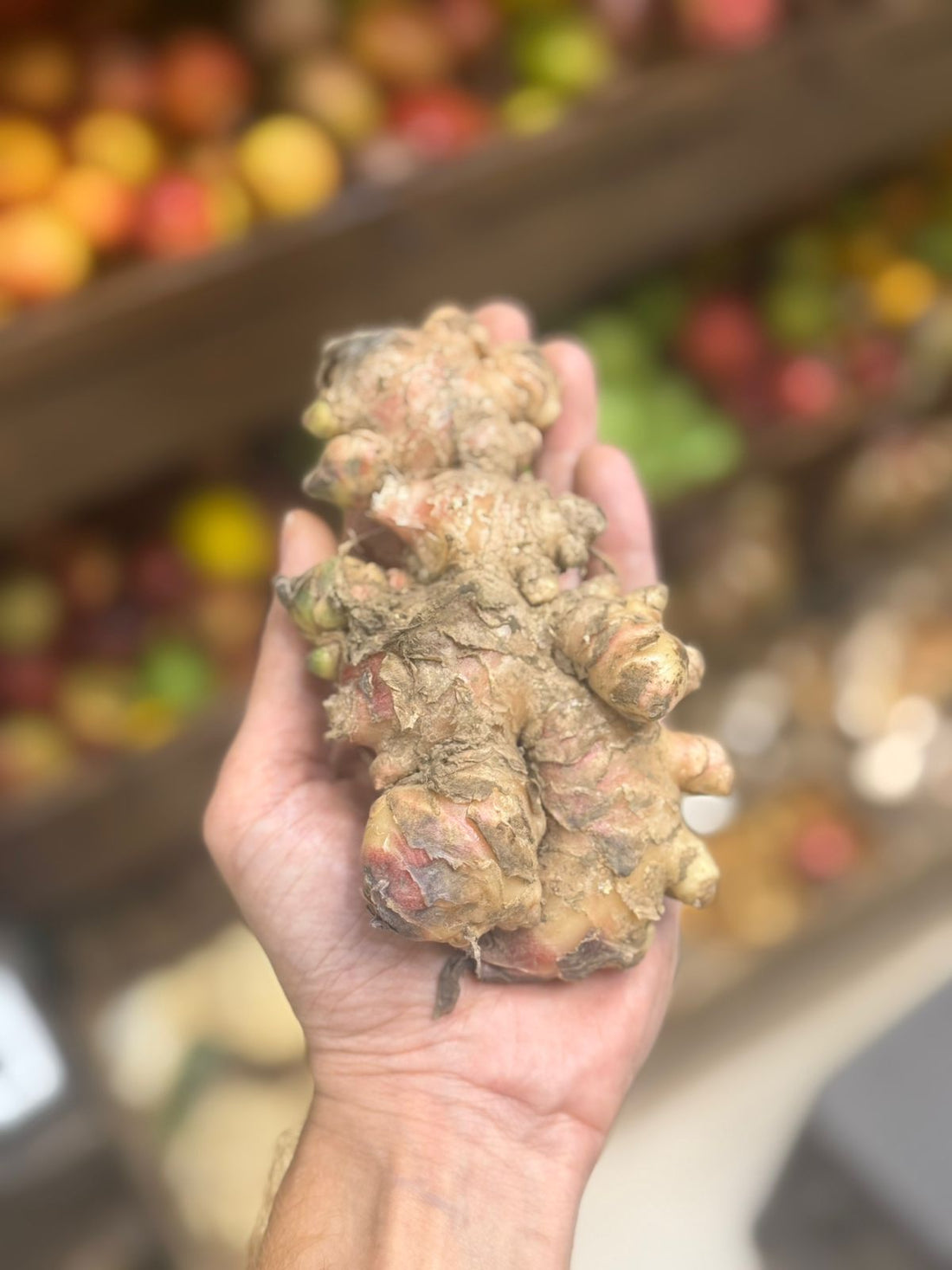 Pink Ginger - Paonta Sahib - Organically Grown