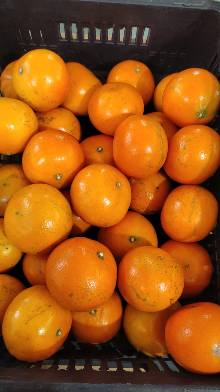 Tangerine - Organically Grown - Pathankot - 500gm