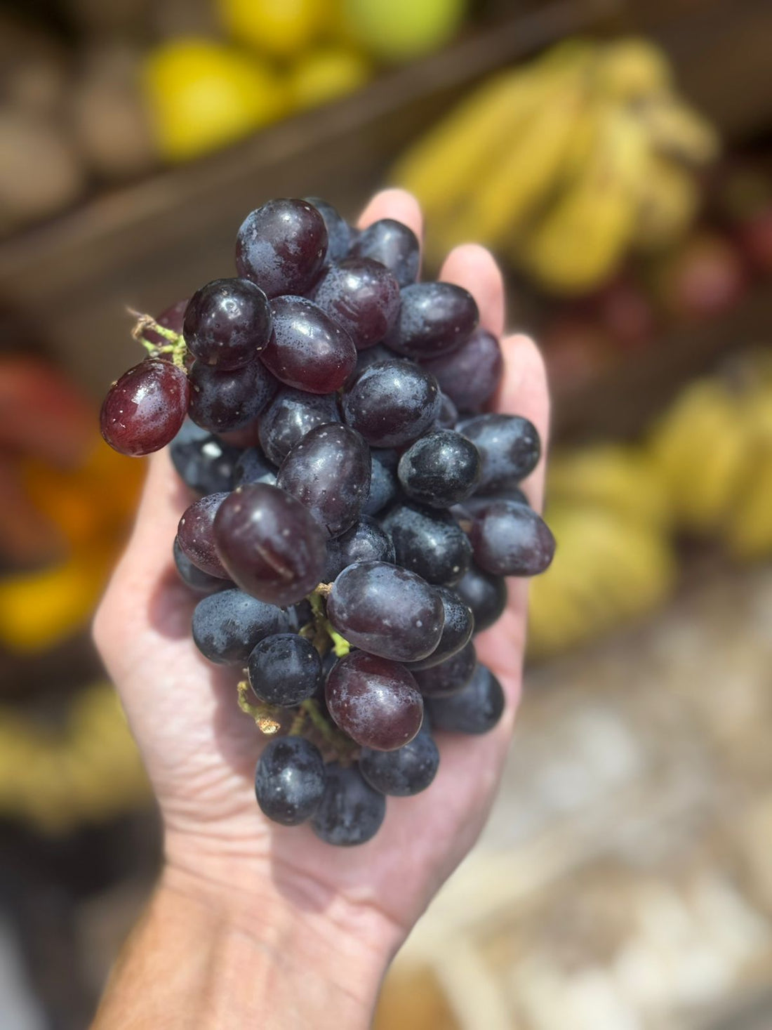 Black Grapes | Solapur - Organically Grown – 500gm