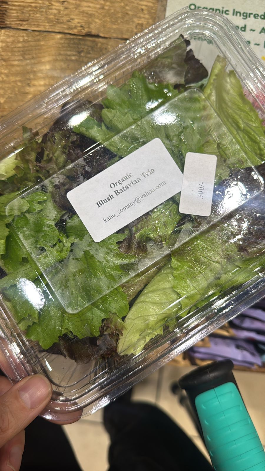 Salad Mix | Blush Batavian Trio - No chemicals - No pesticides- Organic - 1 Box