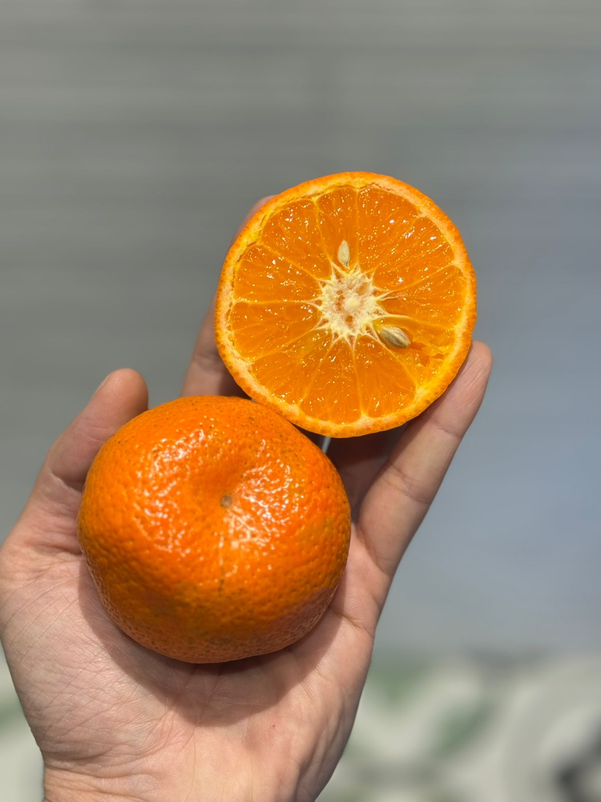 Mandarin | (Pathankot, Punjab) - Certified organic