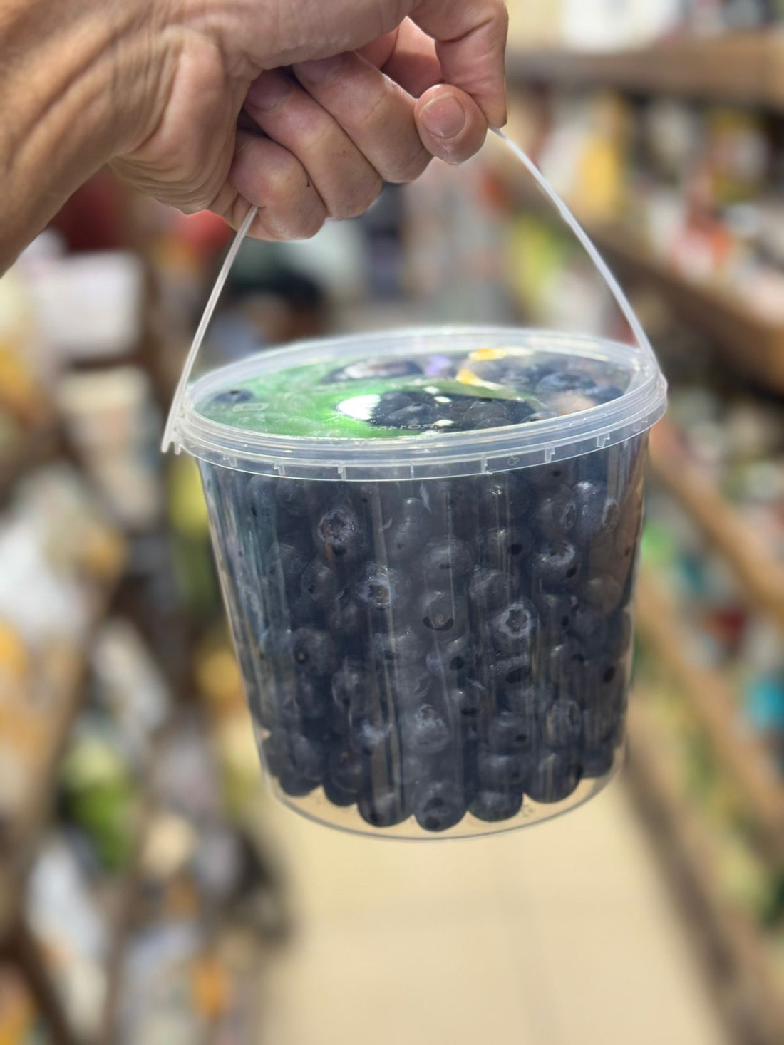 Blueberry | Family Tub Indian Blueberry – Low In Calories, Rich In Vitamin C &amp; Vitamin K- Chhindwara, Madhya Pradesh – Naturally Grown - 900gm