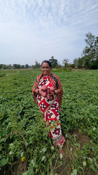 Orange Sweet Potatoes | Rich in Vitamin A – Orissa – Natural Farming