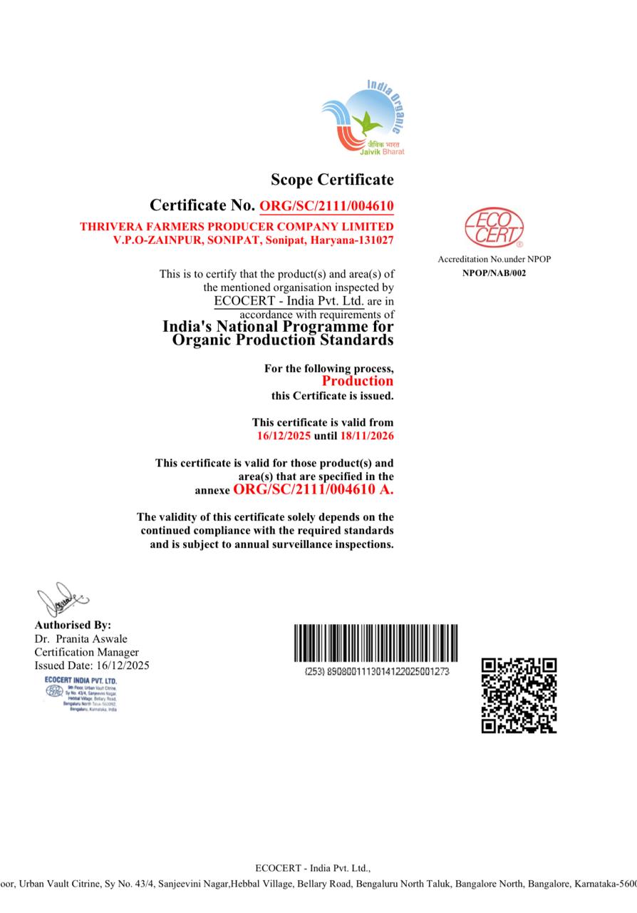 Mint | (Sonipat) - Certified Organic