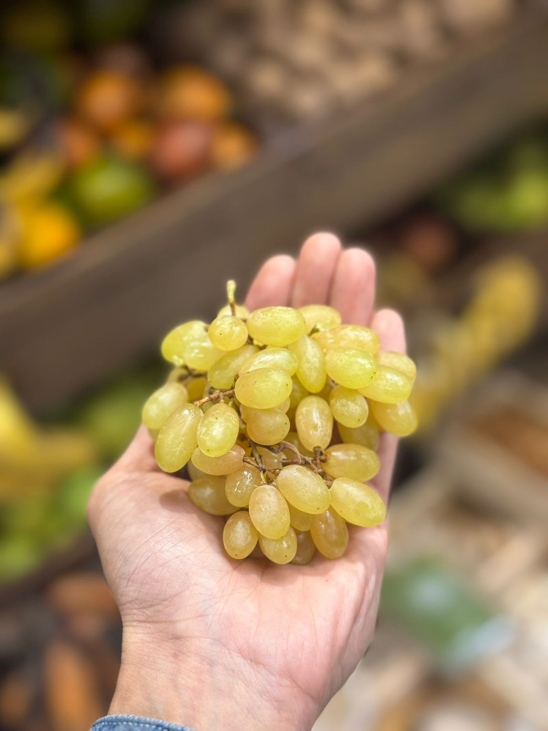 Green Grapes | Manik Chaman (Solapur) – Organically Grown