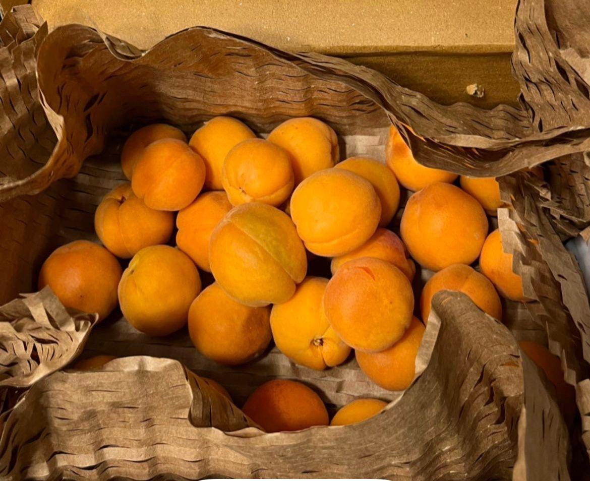 Halman Apricot - Shyam Valley, Ladakh - Pre Order - Organically Grown - 500gm