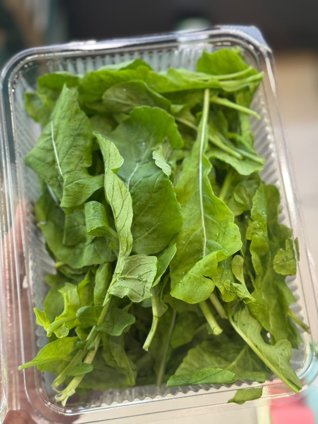 Garden Arugula | (Narkanda, Himachal Pradesh) - Organically grown - 1 Box