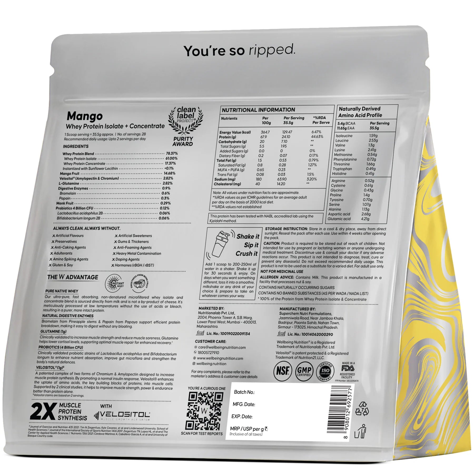 Protein Powder | Whey Protein Isolate + Concentrate 24g - 4B CFU Probiotics (Mango Flavoured) - Gluten Free, No Gums, Thickner &amp; No Artificial Flavours And Sweetners - Wellbeing Nutrition - 1000gm