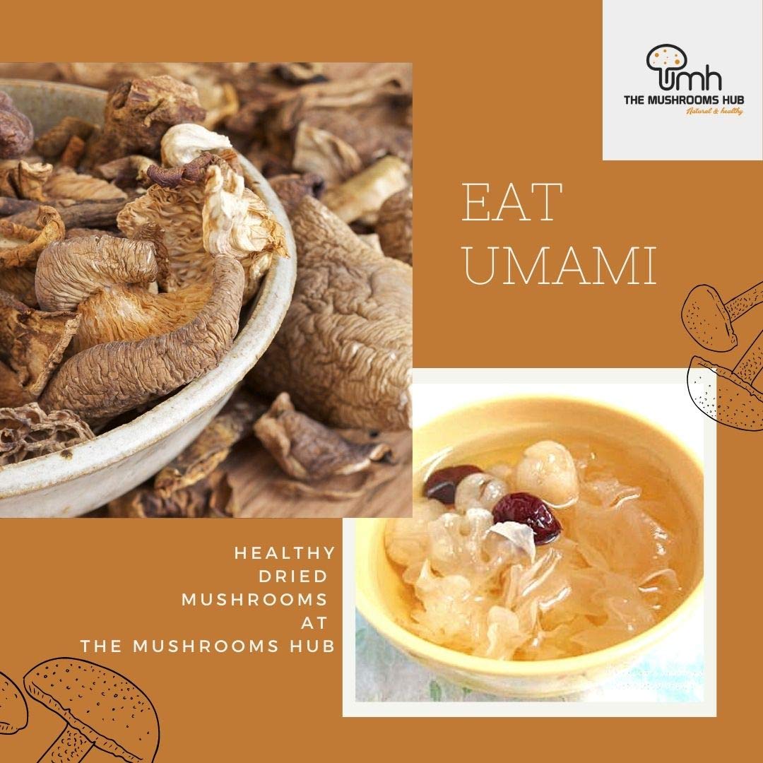 Mushroom | Dried Edible Snow Mushroom - White Fungus - 100% Natural - Chemical Free &amp; No Added Preservatives The Mushoom Hub - 50gm