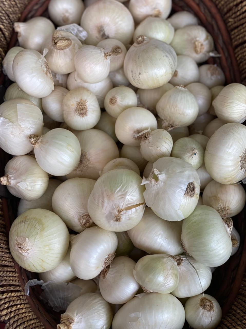 White Onion (Maharashtra) | Antioxidant, Antimicrobial & Lowers Blood Sugar Levels