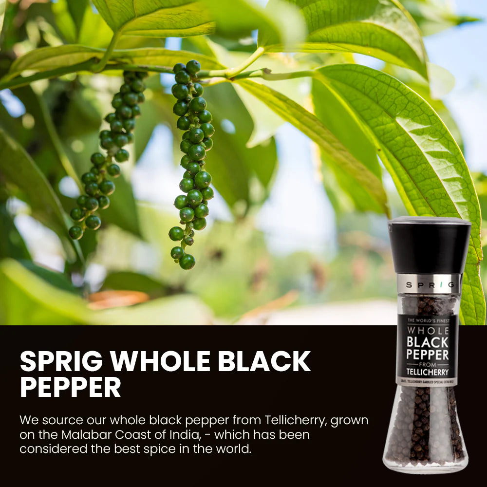 Pepper | Whole Black Pepper – Tellicherry Garbled Special Extra Bold – Sprig – 50gm