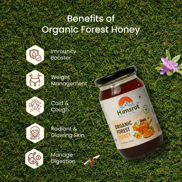 Honey | Wild Forest - Certified Organic - Himsrot - 500gm
