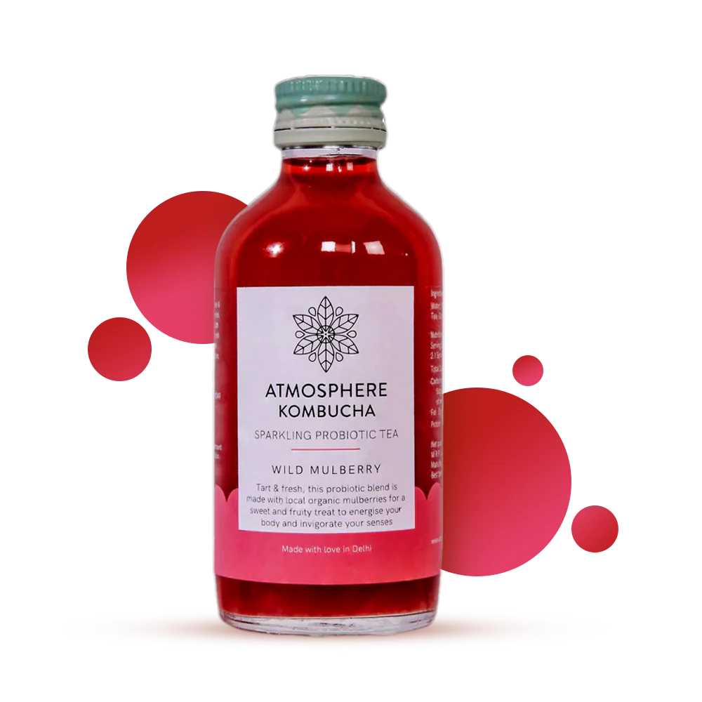 Wild Mulberry Kombucha | Sparkling Probiotic Tea - Atmosphere - 210ml