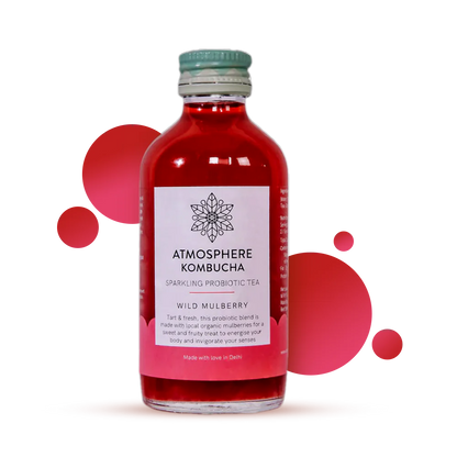 Wild Mulberry Kombucha | Sparkling Probiotic Tea - Atmosphere - 210ml