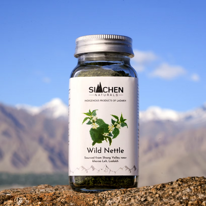 Wild Nettle | (Shang Valley, Leh Ladakh) - 100% Natural - Siachen Naturals - 35gm
