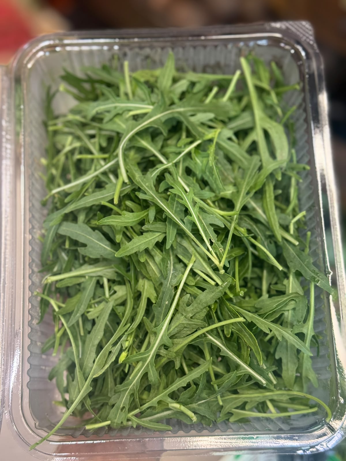Wild Rocket Arugula | Organically Grown - 1 Box