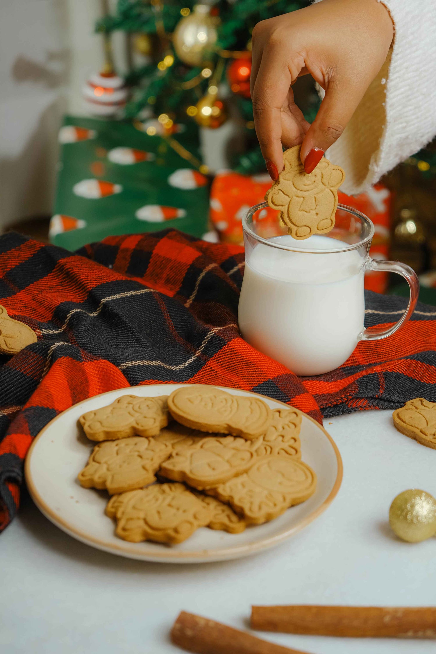 Gingerbread Cookies Box – Vegan, Gluten Free &amp; Refined Sugar Free – Nature’s Soul – 150gm