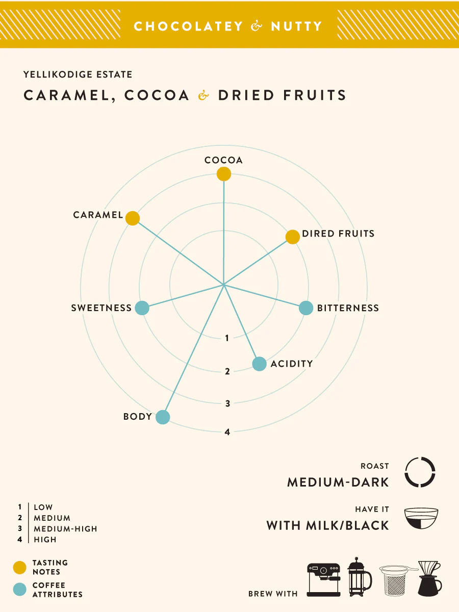 Coffee | Yellikodige Estate (Coffee Filter) – Caramel – Cocoa – Dried Fruits – No Added Preservatives, Additives &amp; No Added Flavouring – Blue Tokai – 250gm