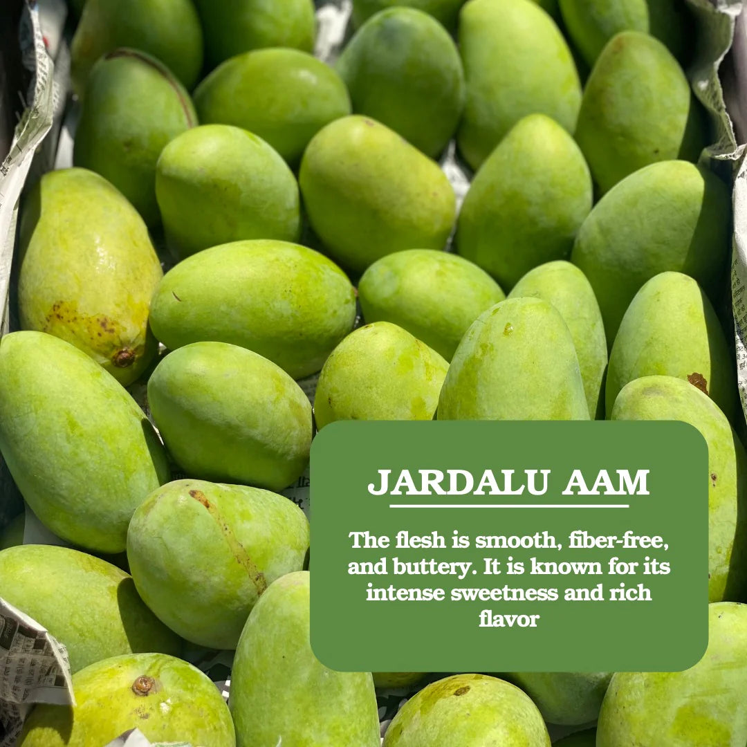 Mango | Zardalu Mango (Bihar) – Naturally Ripened &amp; Carbide Free – Certified Organic