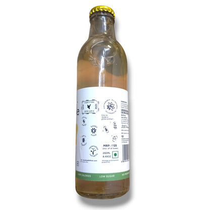 Sparkling Water | Pineapple Panna Prebiotic Sparkling Water – Natural - No Added Preservatives &amp;amp; Chemical Free – Sana Health First – 250ml