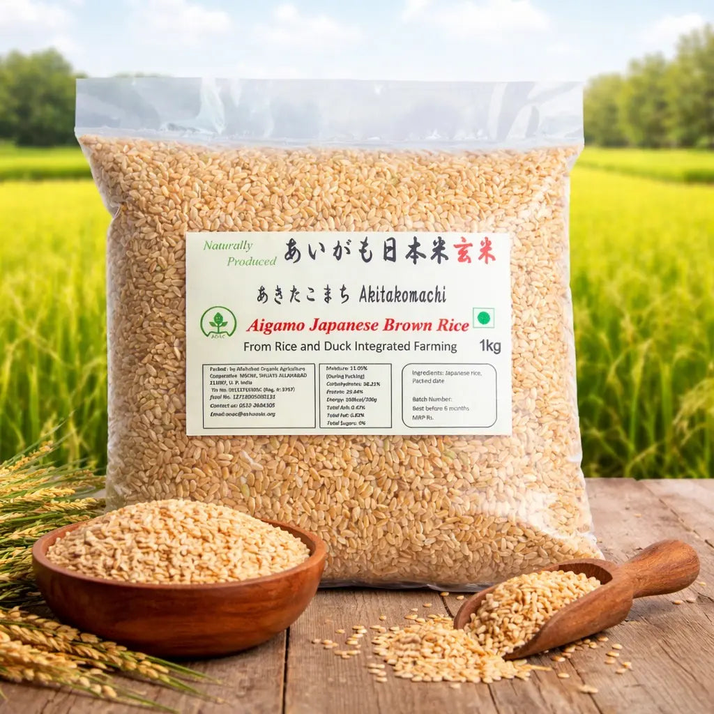 Rice | Aigamo Japanese Brown Rice Akitakomachi - Allahabad Organics - 1000gm
