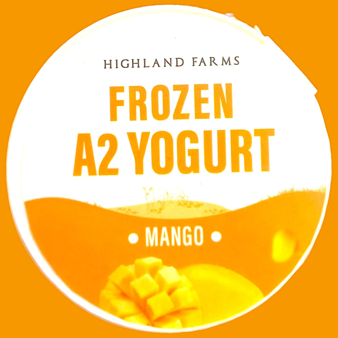 Yogurt | Frozen A2 Milk Yogurt (Mango) – Made With A2 Cow Milk – No Added Preservatives & No Artificial Flavour Or Colours – Highland Farms – 120gm
