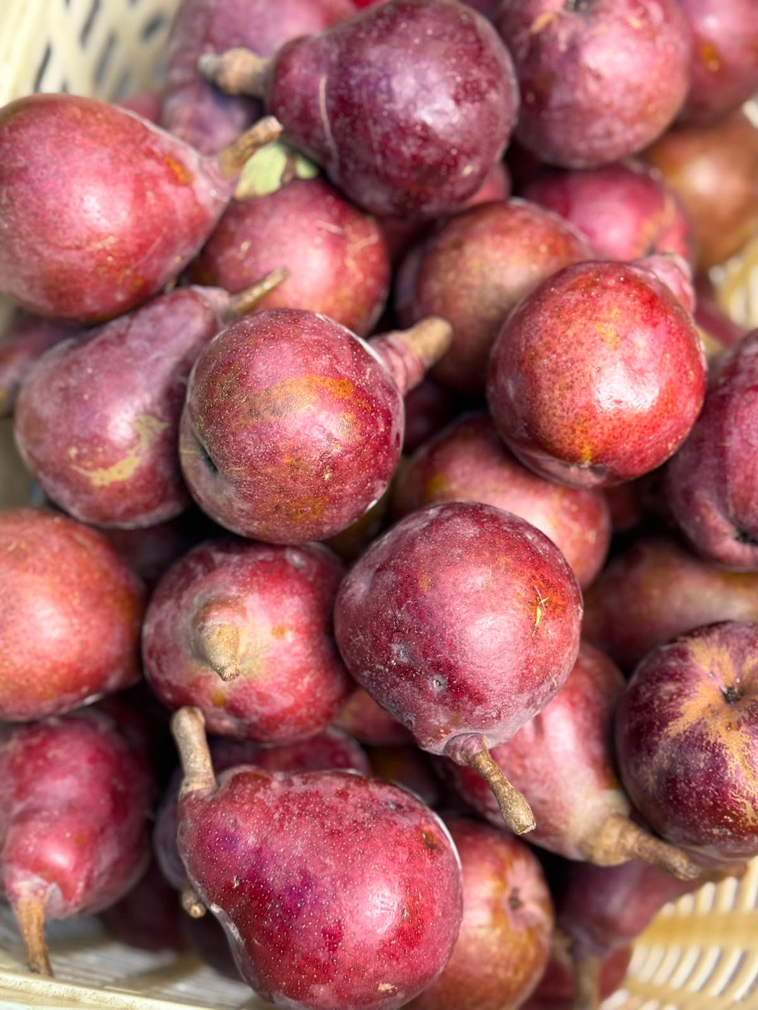 Pears | Red Pears (Narkanda, Himachal Pradesh) - Fresh Crisp Himalayan Pears-Sweet, Juicy &amp; Exotic High-Altitude Pear Fruit- Organically Grown