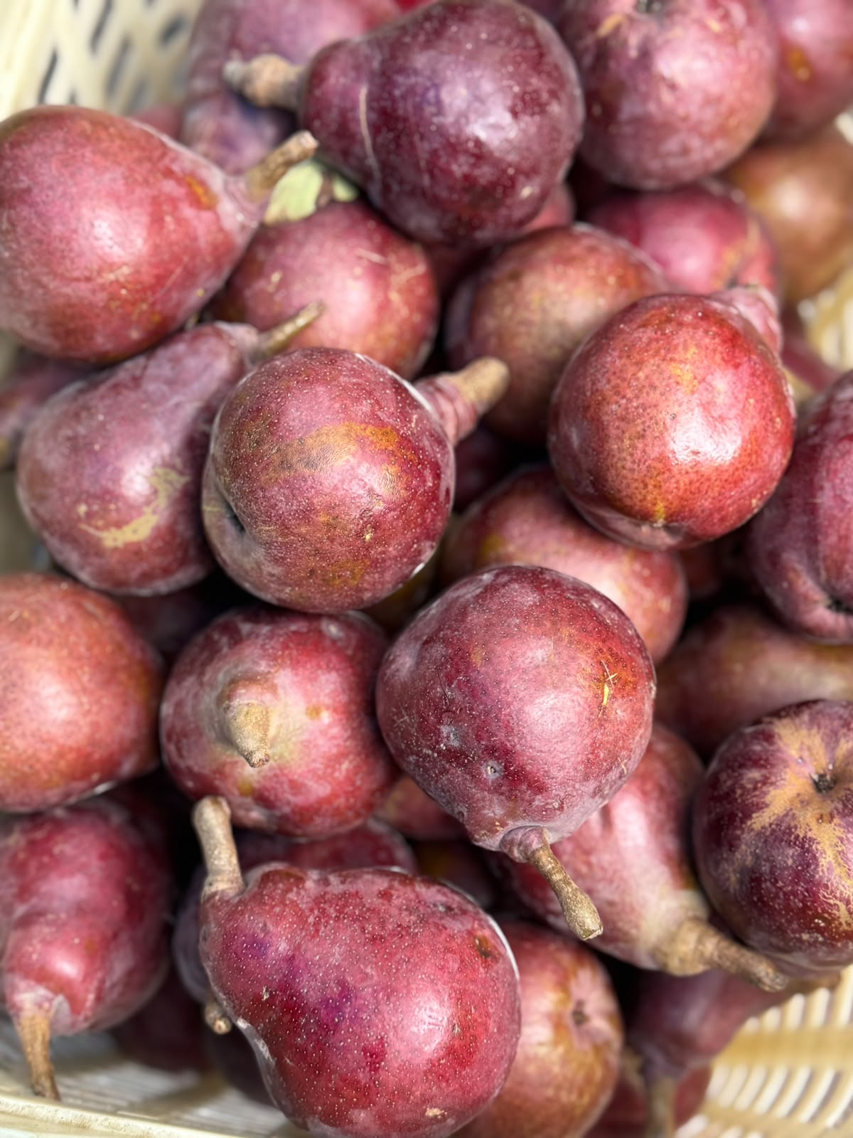 Pears | Red Pears (Narkanda, Himachal Pradesh) - Fresh Crisp Himalayan Pears-Sweet, Juicy &amp; Exotic High-Altitude Pear Fruit- Organically Grown