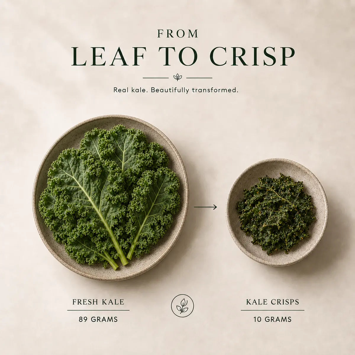 Chips | Signature Kale Crisps- Savoury snack-  No Added Preservatives -Lynn&