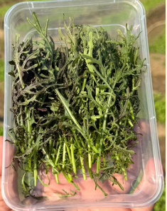 Leaves | Baby Red Mizuna (Purple leaves) - Locally Grown – Organically Grown - Nature&