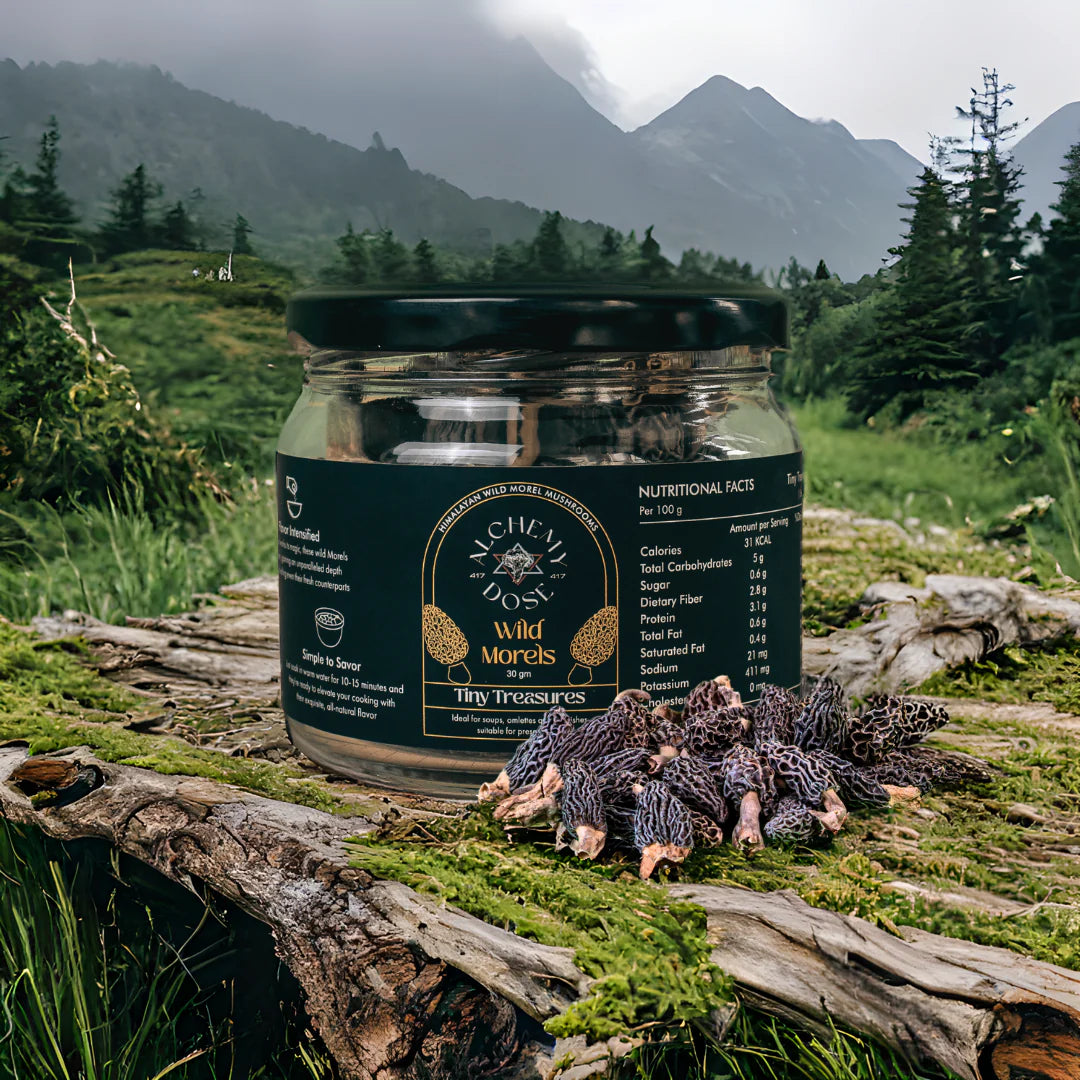 Mushroom | Morel Mushroom (Wild) - Gucchi - Tiny Treasures - Ideal For Soup, Omelettes And Garnishes - Suitable For Preservation - Gluten Free, High In Protein And Fiber &amp;amp; Enriched With Antioxidants - Alchemy Dose - 30gm
