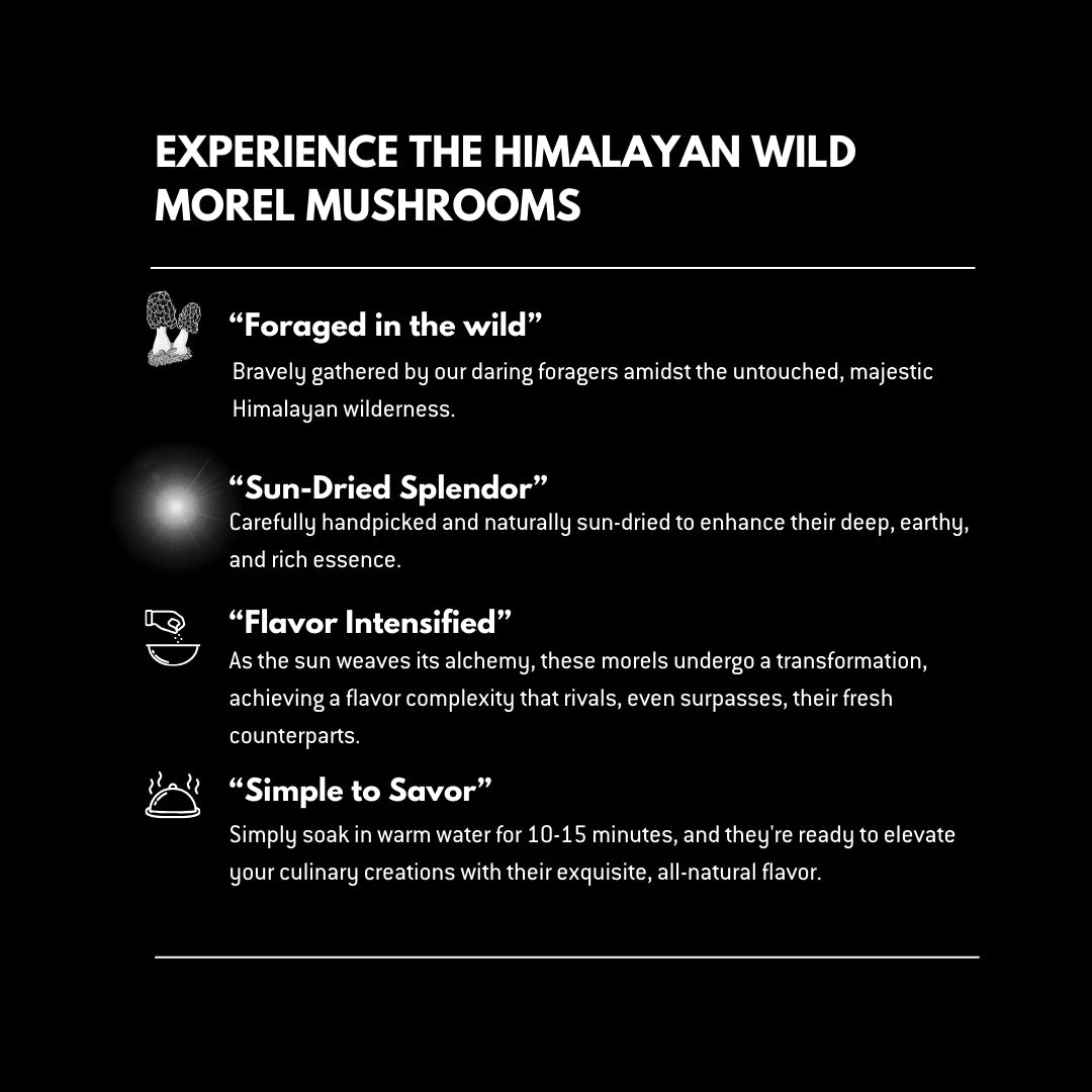 Mushroom | Morel Mushroom (Wild) - Gucchi - Tiny Treasures - Ideal For Soup, Omelettes And Garnishes - Suitable For Preservation - Gluten Free, High In Protein And Fiber &amp;amp; Enriched With Antioxidants - Alchemy Dose - 30gm
