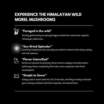 Mushroom | Morel Mushroom (Wild) - Gucchi - Tiny Treasures - Ideal For Soup, Omelettes And Garnishes - Suitable For Preservation - Gluten Free, High In Protein And Fiber &amp;amp; Enriched With Antioxidants - Alchemy Dose - 30gm