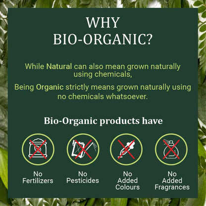 Face Pack | Neem Leaf Face Pack Powder - Organic Azadirachta Indica - For Face &amp;amp; Skin - USDA Organic - Vegan &amp;amp; No Added Chemicals - Indus Valley – 200gm