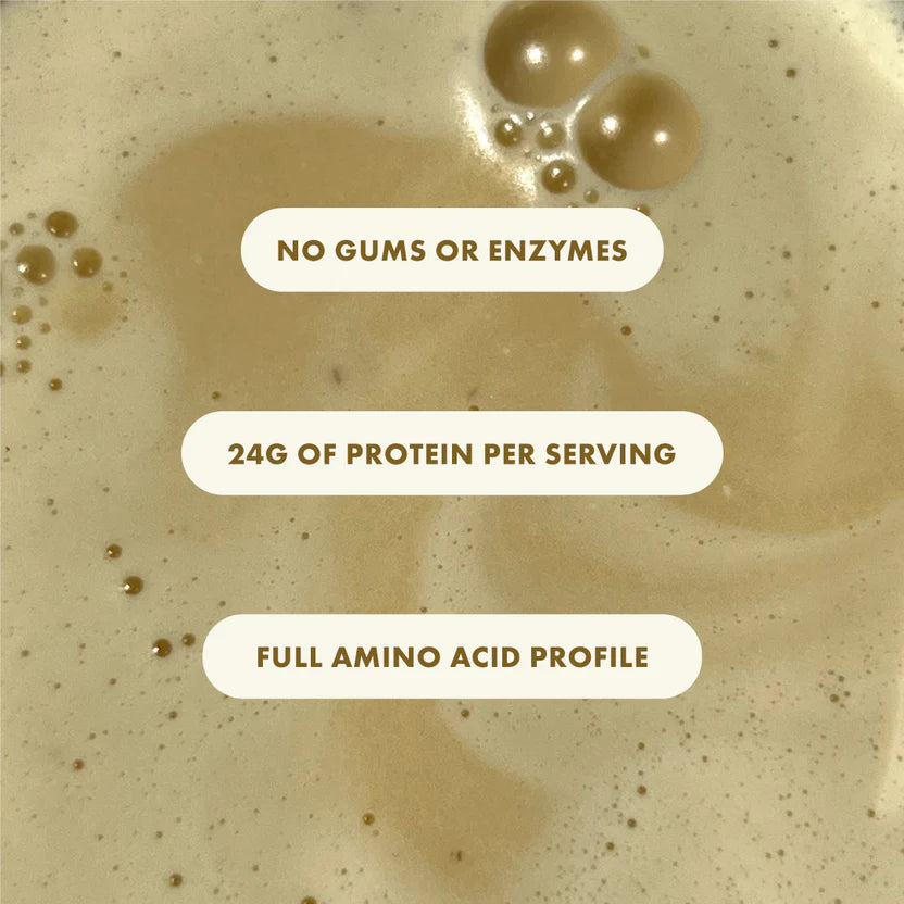 Protein Powder | Plant Protein – No Nonsense – (Pina Colada) - 24g Protein Per Serving - Gut Friendly, Lactose Free, No Trans Fat, Soy Free, No Added Sugar, Stevia, Gums, Enzymes &amp;amp; No Added Artificial Flavors – Cosmix – 500gm