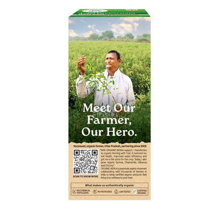 Tea | Tulsi Peppermint Refresh Tea – Stress Relieving Rejuvenating - Certified Organic - India - Caffeine Free - Organic India - 25 Tea Bags